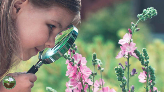 curiosity in children