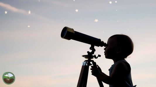 How reading shapes your child's future